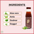 Baidyanath Kokkum Ready to Drink Juice